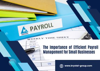 The Importance of Efficient Payroll Management for Small Businesses